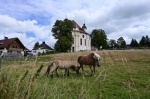 BadKohlgrub_2023-08-10_12-56-17