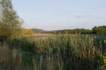 Coburg 2025 07 18 20 29 46