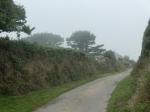 Cornwall 2018 08 19 15 27 23 DxO