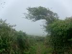 Cornwall 2018 08 19 15 34 35 DxO