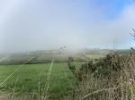 Cornwall 2018 08 19 19 10 15 DxO