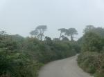 Cornwall 2018 08 19 19 21 18 DxO