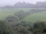 Cornwall 2018 08 19 20 03 21 DxO
