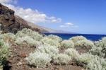 ElHierro_20110501_171602_DxO