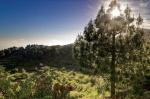 ElHierro_20110510_193309_DxO