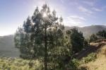 ElHierro_20110510_193546_DxO