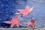Herbst 20151006 142702 DxO