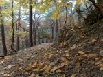 Herbst 20151101 165301 DxO