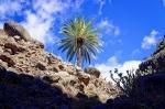 LaGomera_2018-10-29_12-42-42_DxO