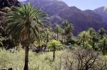 LaGomera_2018-10-29_13-13-51_DxO