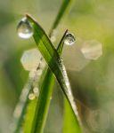 Frühling 20140311 084511 2