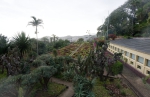 20240215 172903 Madeira Funchal
