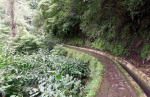 Madeira 2025 03 04 13 02 41