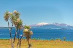 20101127 114943 Neuseeland Taupo Wharewaka Best Of