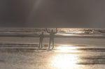 Norderney 20140814 194540