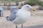 Norderney 20140820 150939