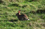 Norderney 20140825 174923