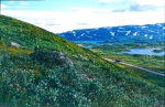 Norwegen 1995 176 Valdresflya Mountain Plateau