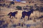 Sizilien_1999_072_DxO