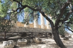 20240503 102313 Sizilien Agrigent Das Tal Der Tempel