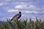 Suedafrika_2017-11-29_15-20-09_DxO