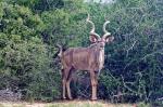 Suedafrika_2017-11-29_15-26-59_DxO