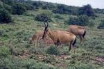 Suedafrika_2017-11-29_15-29-47_DxO