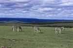 Suedafrika_2017-11-29_16-14-19_DxO