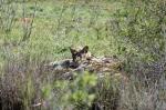 Suedafrika_2017-11-30_15-05-27_DxO