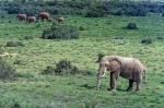 Suedafrika_2017-11-29_15-17-17_DxO