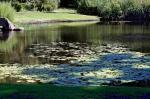 Suedafrika 2017 11 22 07 36 03 DxO