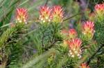 Suedafrika 2017 11 22 08 10 18 DxO