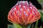 Suedafrika 2017 11 22 08 24 59 DxO