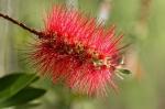 Suedafrika 2017 11 23 16 19 51 DxO