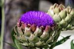 Suedafrika 2017 11 27 07 56 10 DxO