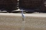 Suedafrika_2017-11-28_10-41-25_DxO