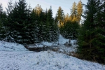 20241229 144636 Thueringerwald Dp Oberhof