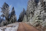 20241230 122346 Thueringerwald Dp Oberhof