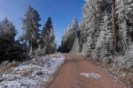 20241230 123928 Thueringerwald Dp Oberhof