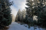 20241230 124413 Thueringerwald Dp Oberhof