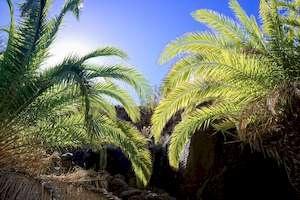 La Gomera Feb. 2018