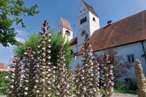 Steingaden