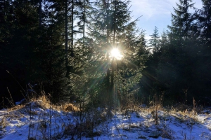 Thüringer Wald 2025